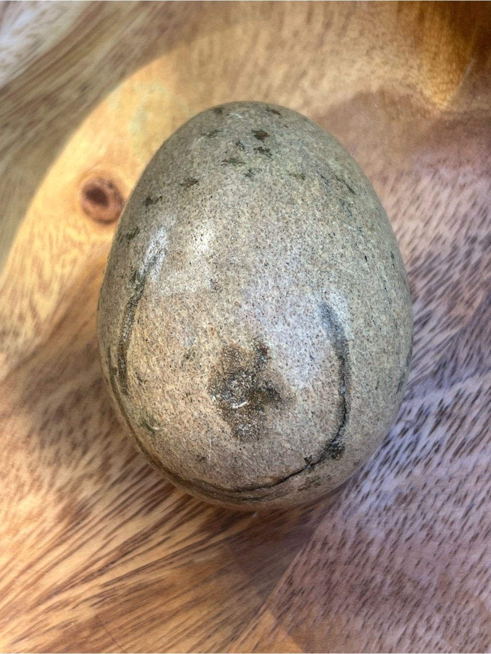 Natural Fossilized Stone Egg